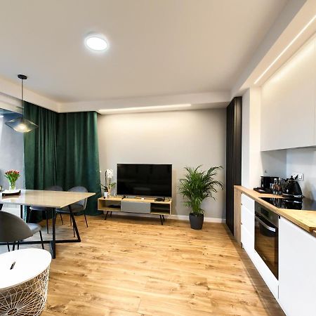 Apartament Boznicza ポズナン エクステリア 写真
